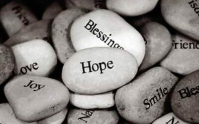 Routine & Daily Task